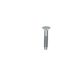 Tail Light Lens Screws Tail Light Lens Screws '58-'61 and '62-'71 (Export only) 211945185A